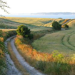 Weg